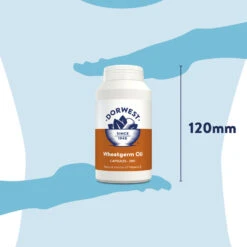 Dorwest Wheatgerm Oil Capsules -Cheap Bowls And Food Store wgo200 pt12