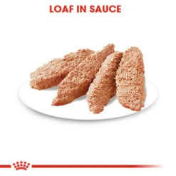 ROYAL CANIN® Sterilised Care Wet Pouches Adult Dog Food -Cheap Bowls And Food Store xqsbq34i0ek6fps21awi