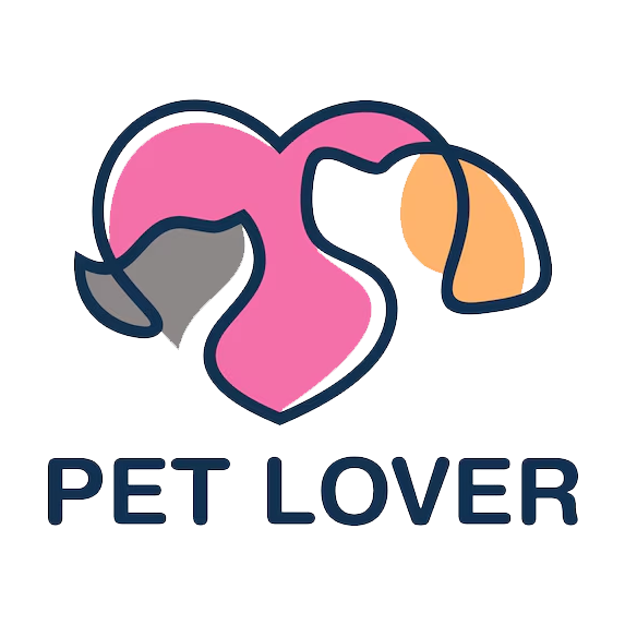 Cheap Bowls And Food Store