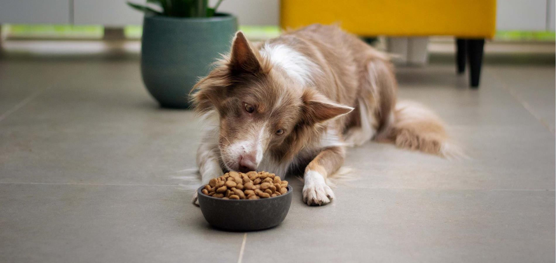 Cheap Bowls And Food Store -Cheap Bowls And Food Store unsplash